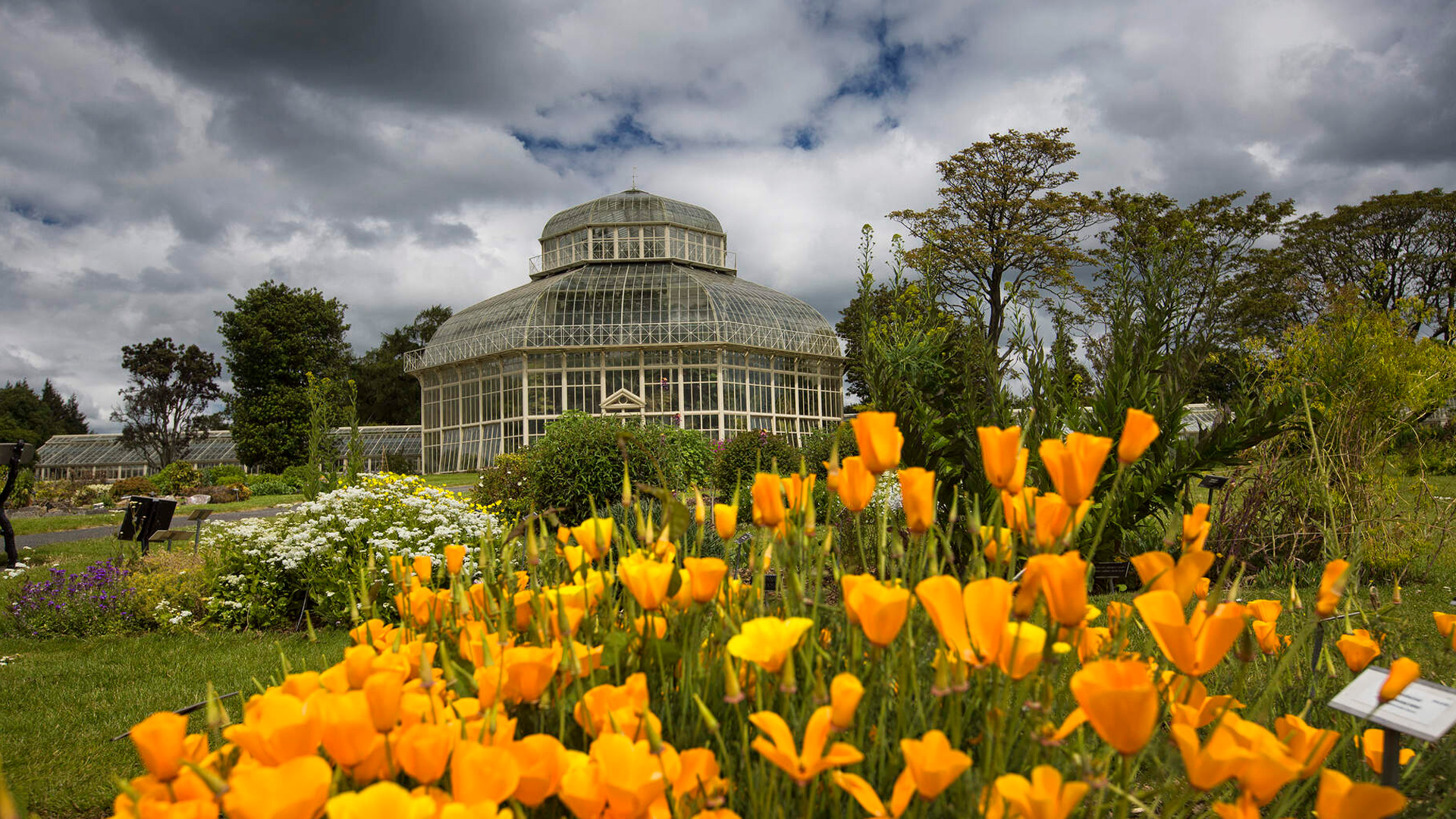 Botanic Gardens Dublin Places To