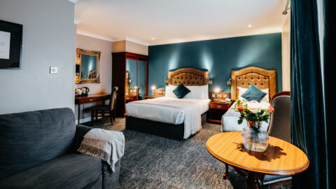 Family Room Beds and Sofa